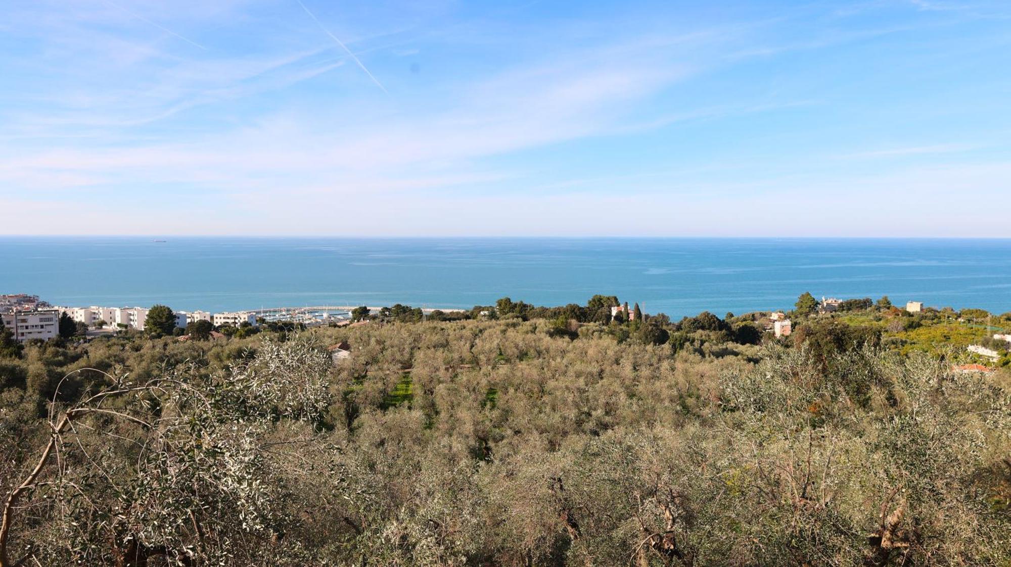 I Frangiventi Bed & Breakfast Rodi Garganico Exterior photo